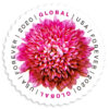 2020 Global Chrysanthemum International